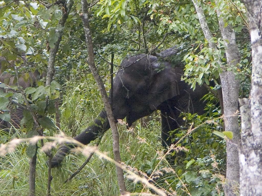 Elephant Valley Eco Farm Hotel Kodaikanal Eksteriør bilde